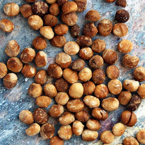 Best-ever Roasted Macadamia Nuts Keto